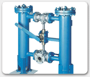 Duplex Type Strainers